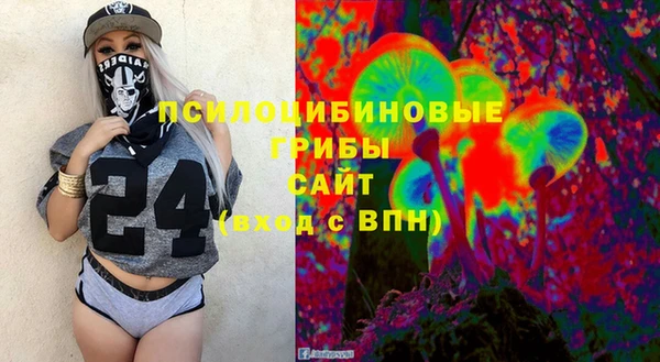 ПСИЛОЦИБИНОВЫЕ ГРИБЫ Аркадак