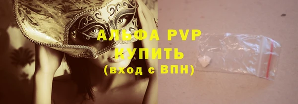 СК Арсеньев