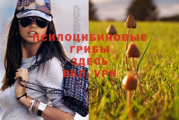 ПСИЛОЦИБИНОВЫЕ ГРИБЫ Армянск