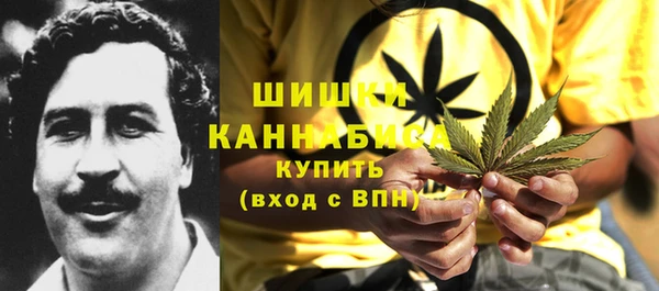 ПСИЛОЦИБИНОВЫЕ ГРИБЫ Аркадак