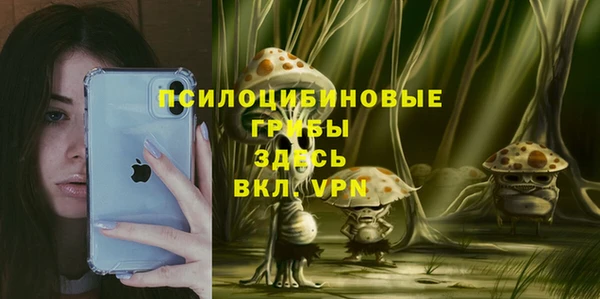 ПСИЛОЦИБИНОВЫЕ ГРИБЫ Аркадак